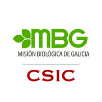Grupo Hydrosoil